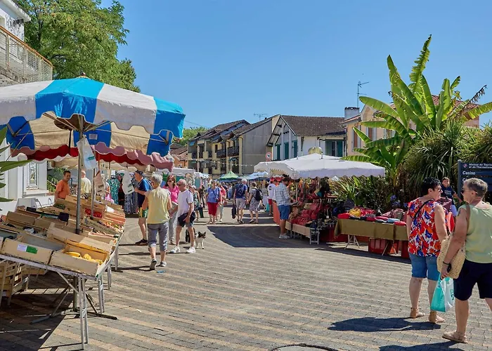 Maison T3 Avec Cheminee Pour 4 Personnes, Animaux Admis A - Fr-1-841-29 카죠봉