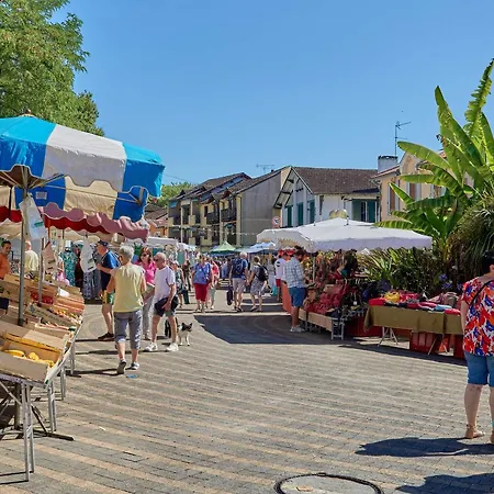 Maison T3 Avec Cheminee Pour 4 Personnes, Animaux Admis A - Fr-1-841-29 Cazaubon