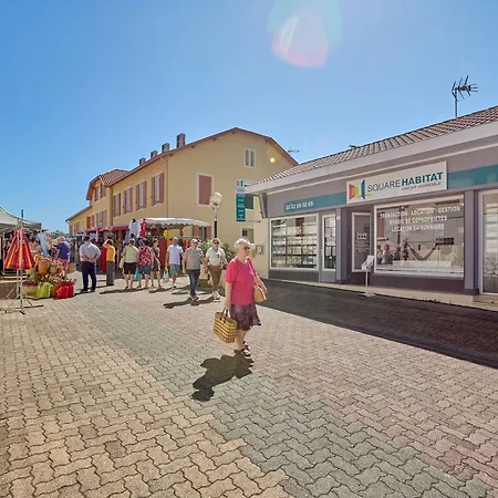 Maison T3 Avec Cheminee Pour 4 Personnes, Animaux Admis A - Fr-1-841-29 * Cazaubon